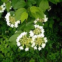  ,  , 60  -  18  2017   