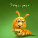 ���� ����, ����, 54 ���� - ��������� 11 ��� 2017 � ������ ���� ����������