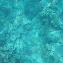 ���� ��������, �����, 57 ��� - ��������� 19 ������� 2017 � ������ ������� 2017�