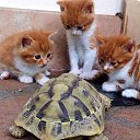 ���� �����, ������, 50 ��� - ��������� 18 ������ 2017 � ������ ������ ��������