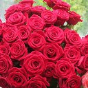 ���� �������, ������ �������� - ��������� 28 ���� 2017 � ������ ���� ߻