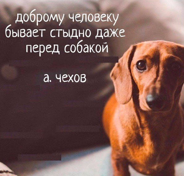  - 21  2017  03:30