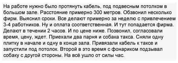Alena - 13  2017  03:42