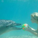 ���� �����, ����� ������ - ��������� 17 ������ 2017 � ������ ���� ����������