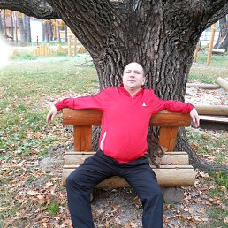 �������, ������, 49 ���