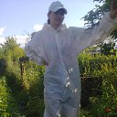 ���� �������, �����������, 37 ��� - ��������� 13 �������� 2017 � ������ ���� ����������