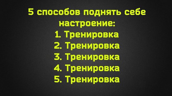  -   - 16  2017  06:04