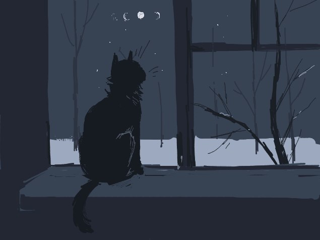 ,   ! - 5