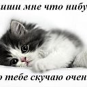 ���� �����, ��������� - ��������� 2 ������ 2017 � ������ ������ ��������