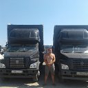 ���� �������, ������, 43 ���� - ��������� 29 ���� 2017 � ������ ���� ����������
