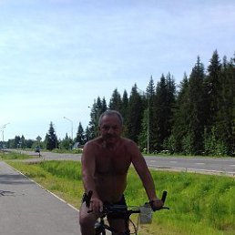 ���������, ���������, 71 ���