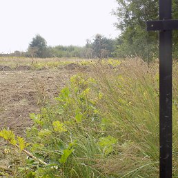 ����, �����-���������, 48 ���