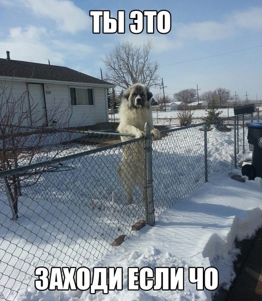   - 16  2017  19:55