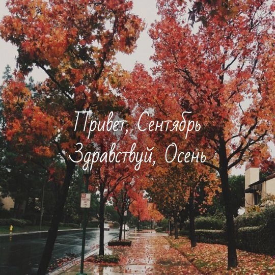 E s t h e t i q u e - 1  2017  10:24