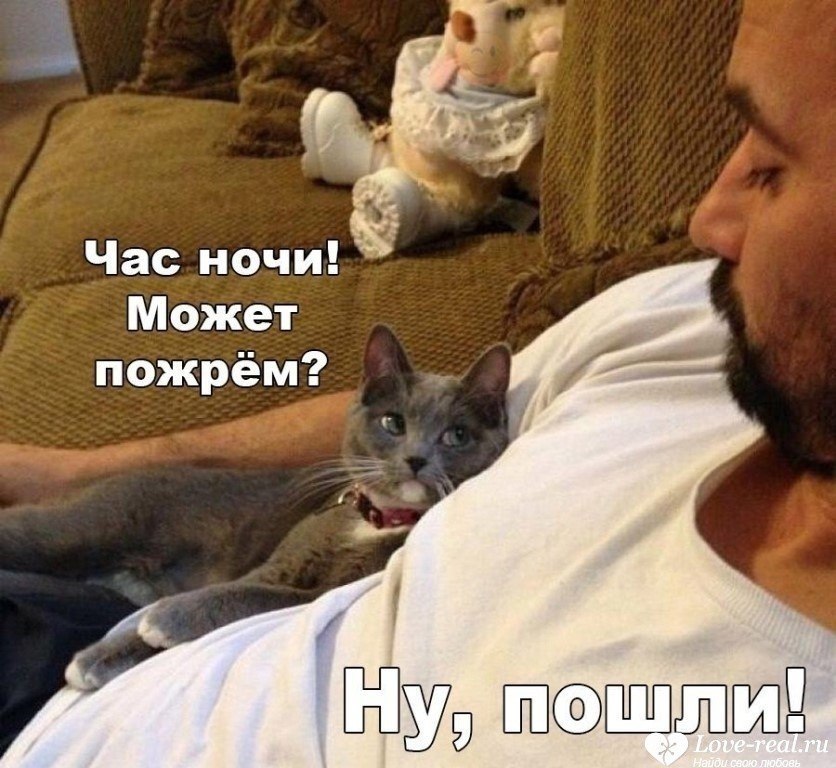      .    : 