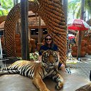 ���� �������, ������ ��������, 40 ��� - ��������� 3 ���� 2017 � ������ ���� ����������