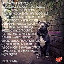 ���� �����, ������ - ��������� 14 ���� 2017 � ������ ������ ��������