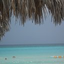 ���� �������, �������� - ��������� 8 ���� 2017 � ������ ����� 2017�