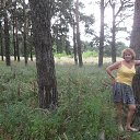 ����� �������� 2017 �� ������� ���� ����������