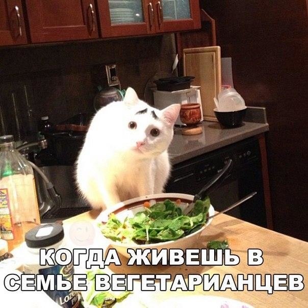    .     ))) - 23