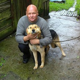 �������, �����������, 53 ����