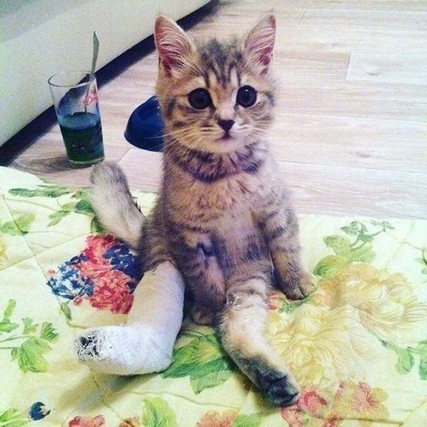    -,    (**