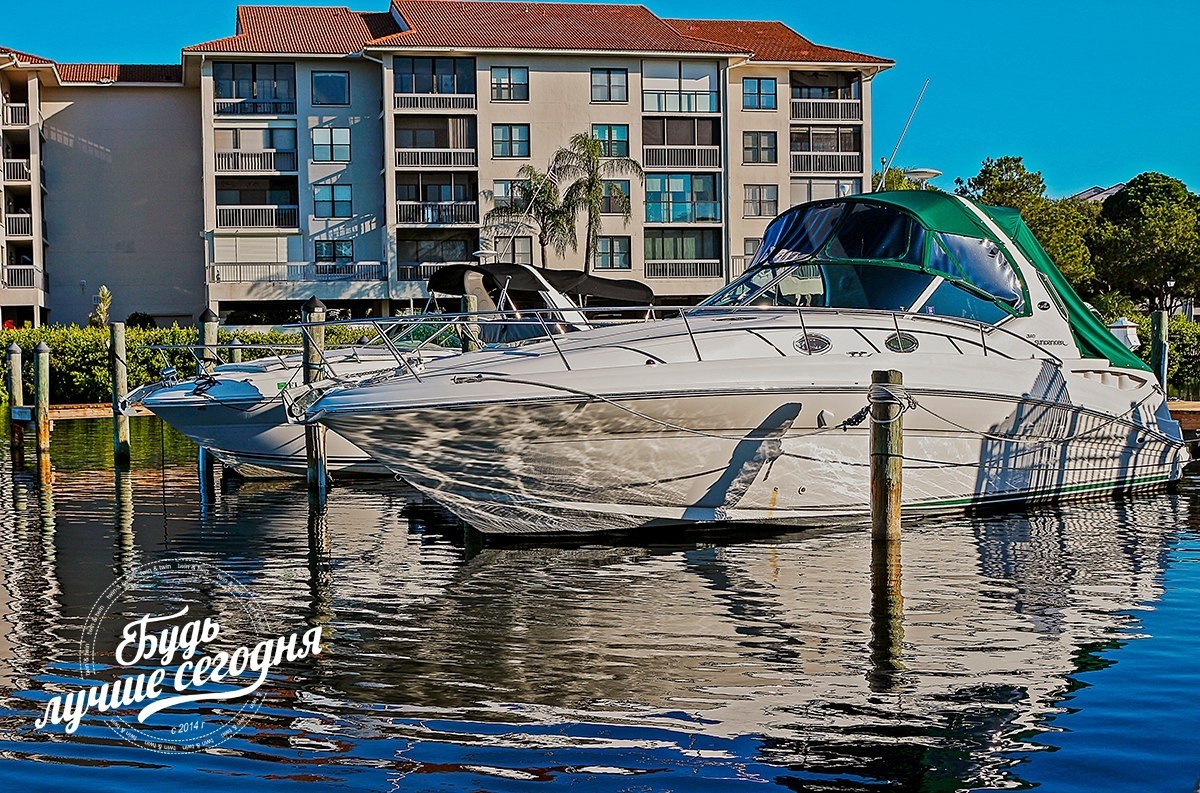 Успех приходит к тем, кто мыслит категориями успеха. Поражение сопутствует тем, кто позволяет ...