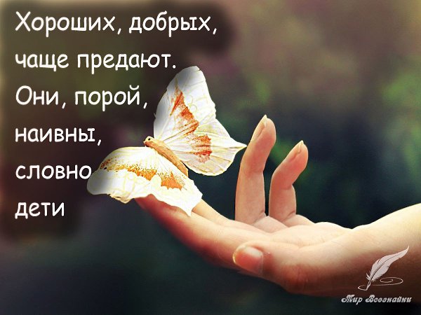 Хороших, добрых, чаще предают. Они, порой, наивны, словно дети. С проблемами своими к ним идут, Чем ...
