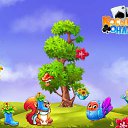 ���� �����, ������ - ��������� 8 ������� 2017 � ������ �������� �������-�������