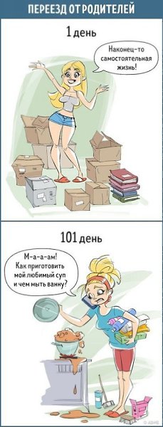 10 комиксов о том, как меняется наше отношение к любым вещам за каких-то 100 дней. - 4