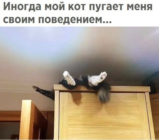 ��� ���� � ����� �� �� - 30 ���� 2017 � 22:52