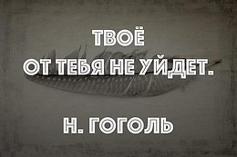      - 31  2017  20:44