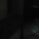 ���� ��������, ������������ - ��������� 18 ���� 2017 � ������ ������ ��������