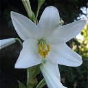 � �����, �����, �����������,
��� ����� ������� �� ������ ������,
��� ����� � ���� � ��� ���������� �����,
������ ��������� � ������ �������! �� ������� ���� ��������