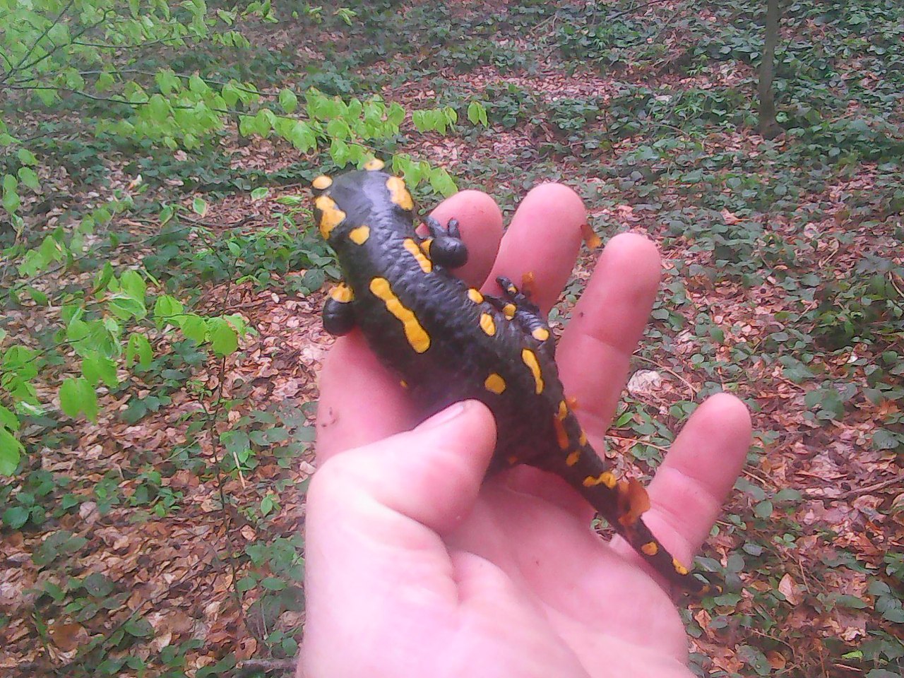   - 16  2017  09:13 - 2