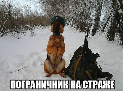 Ну, а теперь, чтобы Вы улыбнулись. На границе КТО там ходит хмуро? Вечный бой, покой нам только ... - 12