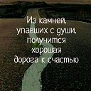 ���� ����, �������� - ��������� 24 �������� 2017 � ������ ������ ��������