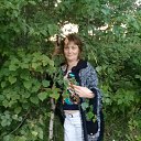 ���� �������, ������ �����, 49 ��� - ��������� 23 ������� 2017 � ������ ���� ����������