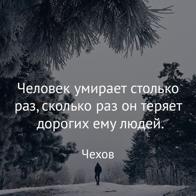  | ,  - 13  2017  08:17