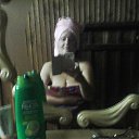 ���� �������, ������ ��������, 53 ���� - ��������� 9 ���� 2017 � ������ ������ ��������