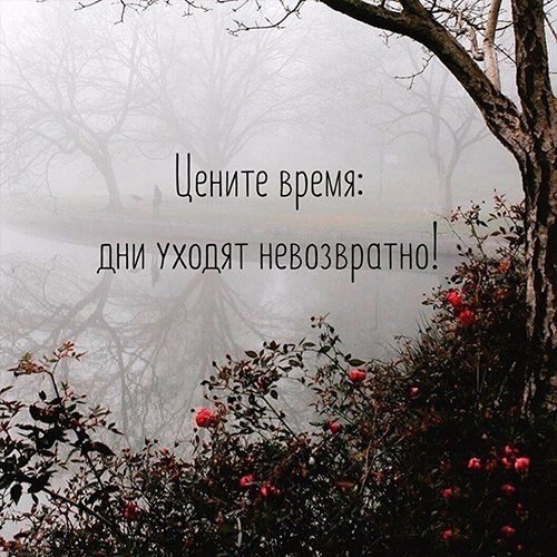    ! - 24  2017  11:20