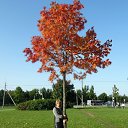 ���� ����, �����-��������� - ��������� 24 �������� 2017 � ������ ���� ����������