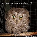 ���� �������, ������, 42 ���� - ��������� 6 ���� 2017 � ������ ���� ����������