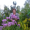 ���� ����, ���� - ��������� 27 ������� 2017 � ������ ���� ����������