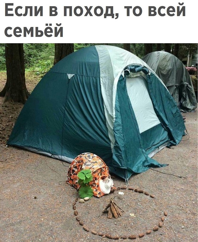  - 8  2017  19:06
