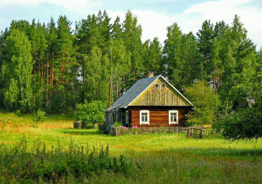 Лета изба. Деревня в лесу. Домик на опушке леса. Изба в деревне. Деревенский домик летом.