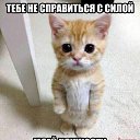 ���� Roman, ��������, 37 ��� - ��������� 19 ������� 2017 � ������ ������ ��������