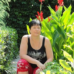 �������, ��������������, 56 ���