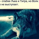  ,  -  21  2017    