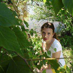 ����, ������ ����, 47 ���